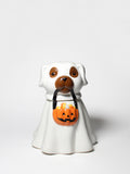 Sand + Paws Jack-o'-Lantern 11 oz scented candle