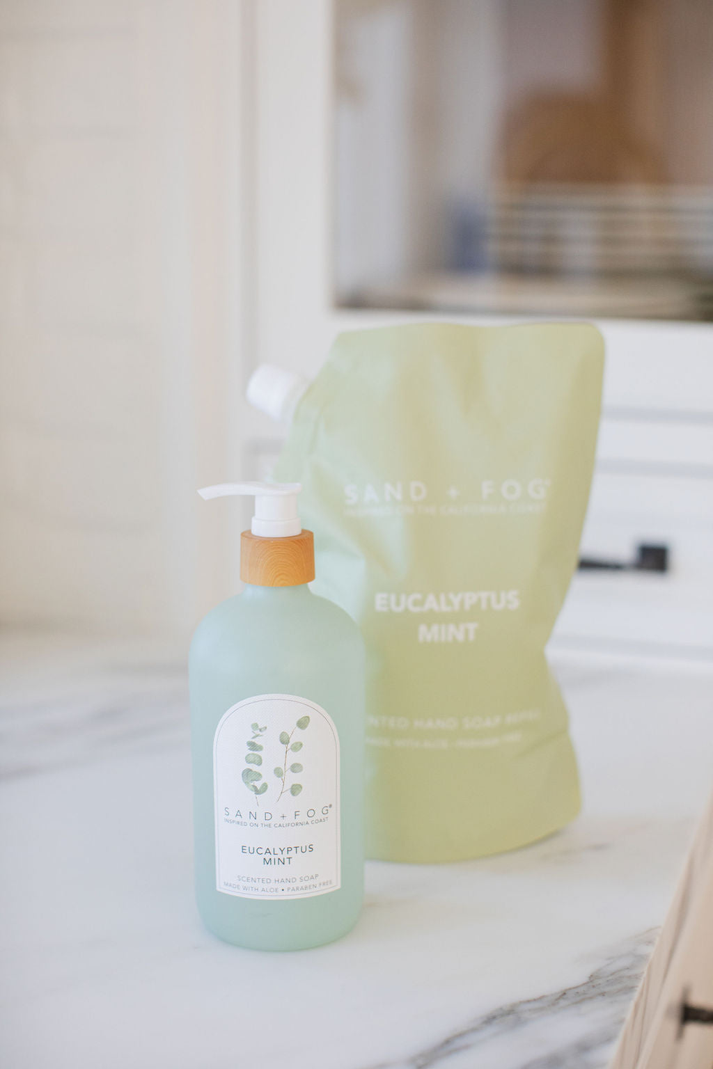 Premium Eucalyptus Mint 34 oz Liquid Hand Soap Refill Bag