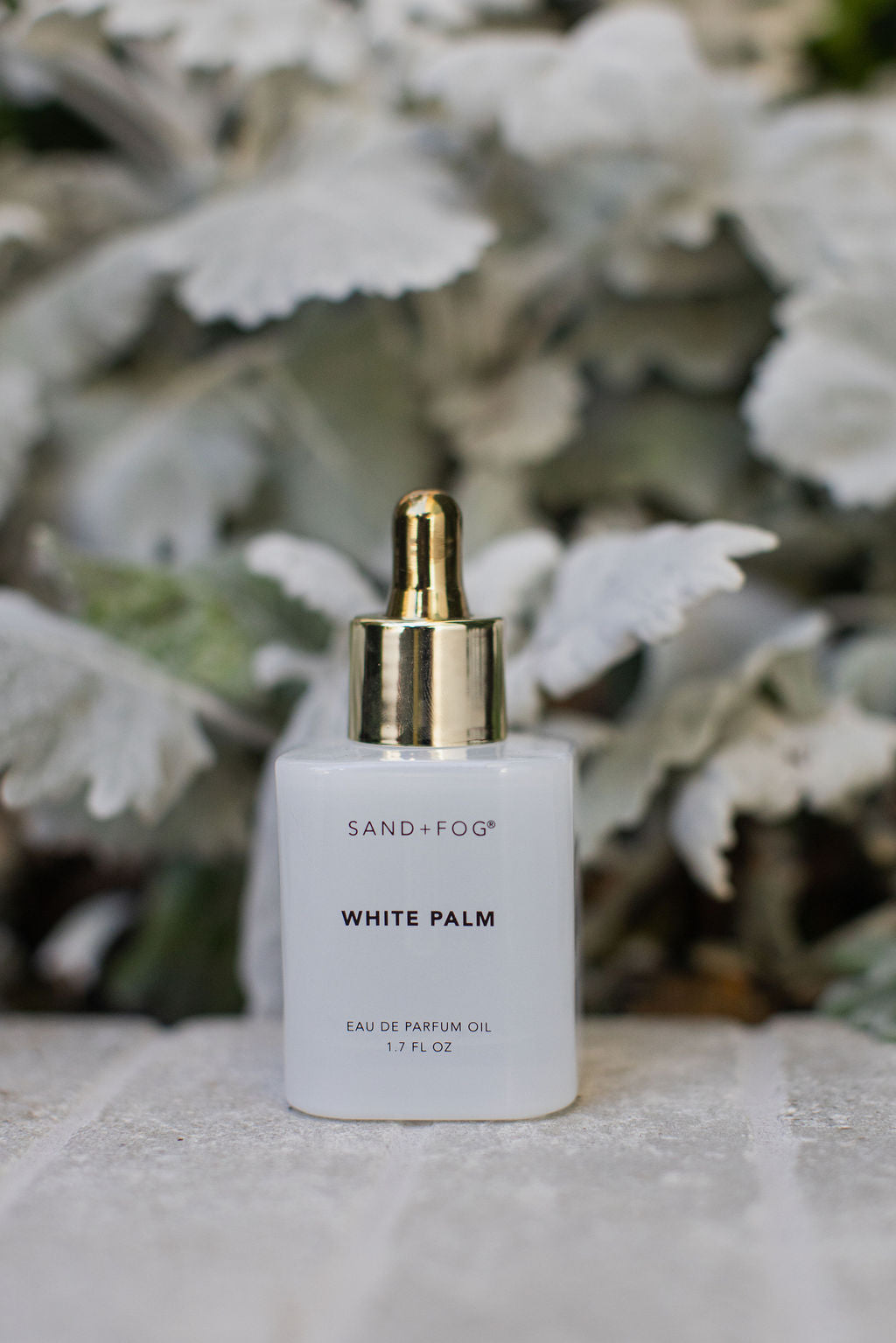 Luxury White Palm 50 ml Perfume Oil Dropper