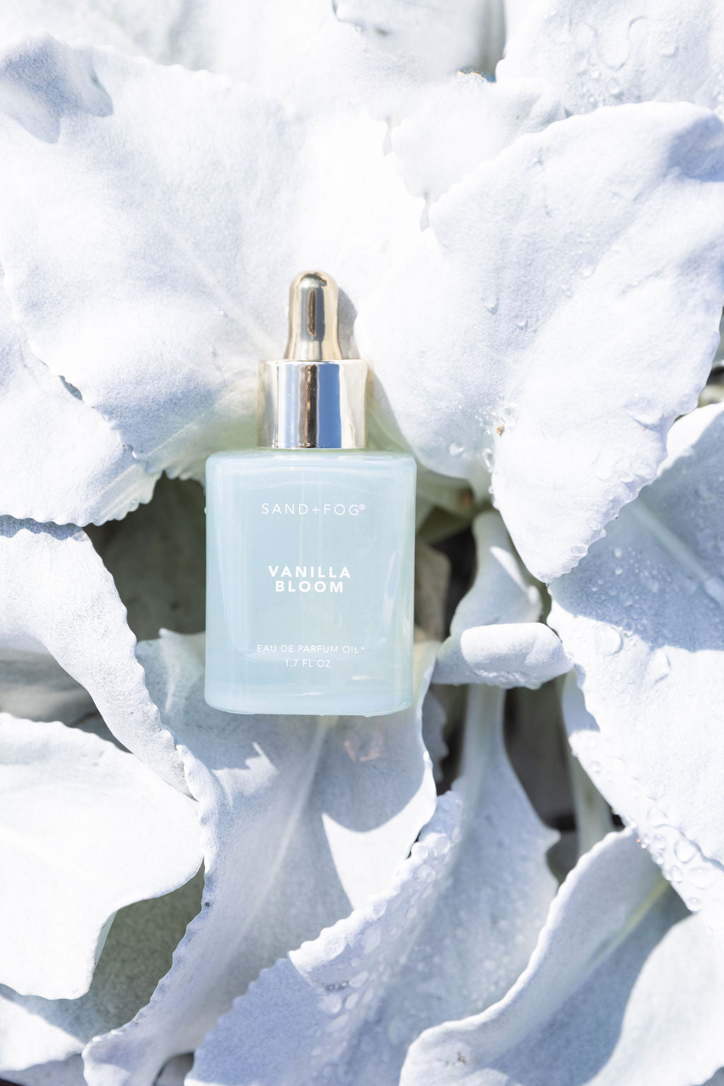 Luxury Vanilla Bloom 50 ml Perfume Oil Dropper