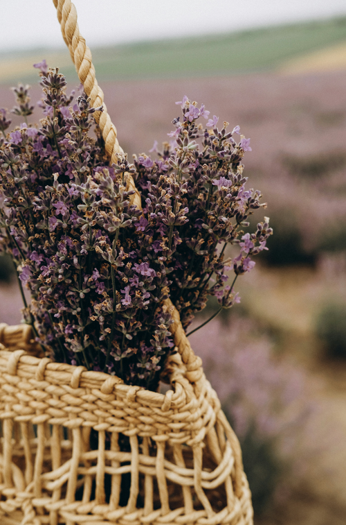 Aromatic Cedar & Lavender 100 ml Reed Diffuser
