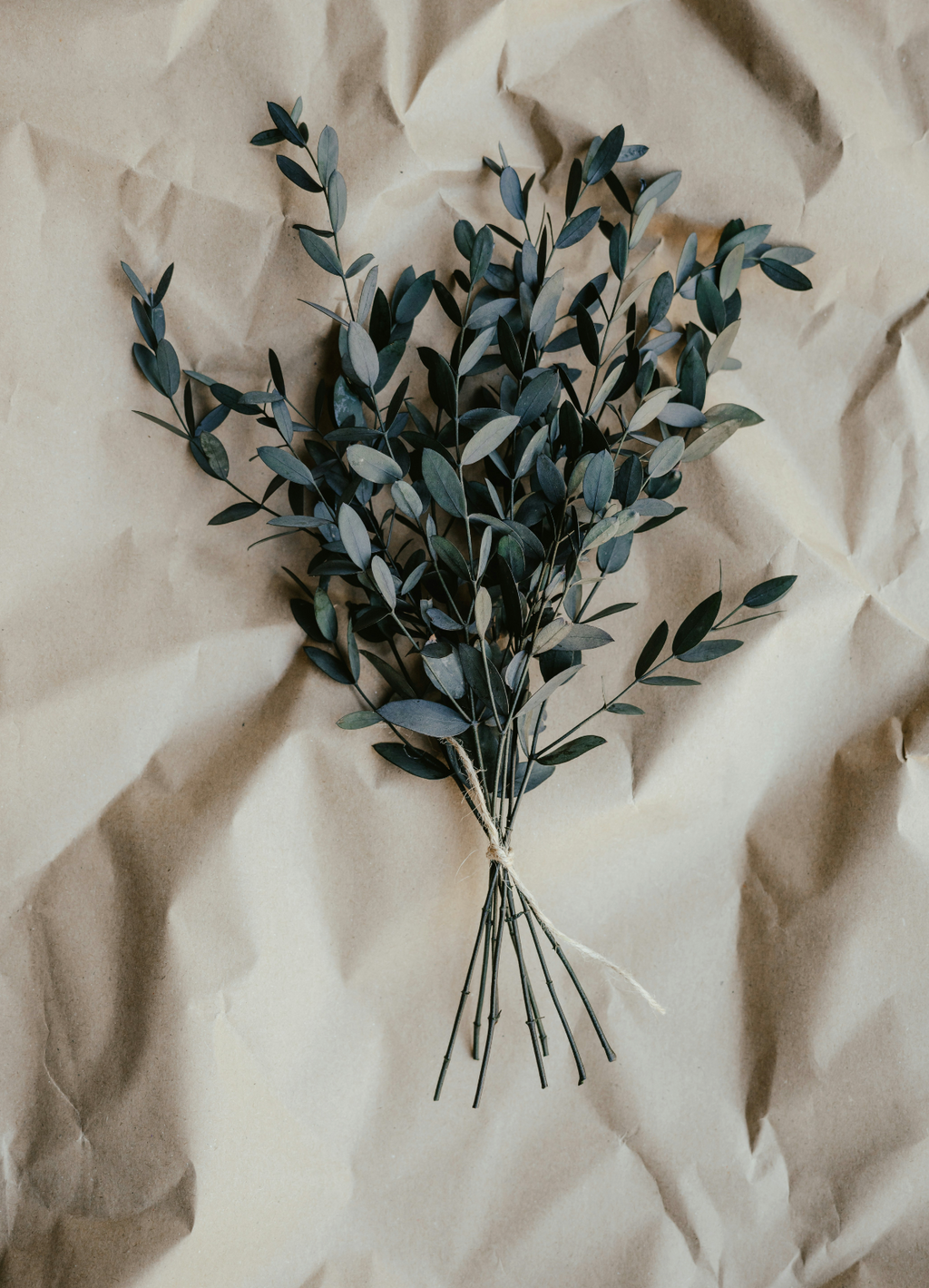 Fragrant Eucalyptus 100 ml Room Spray