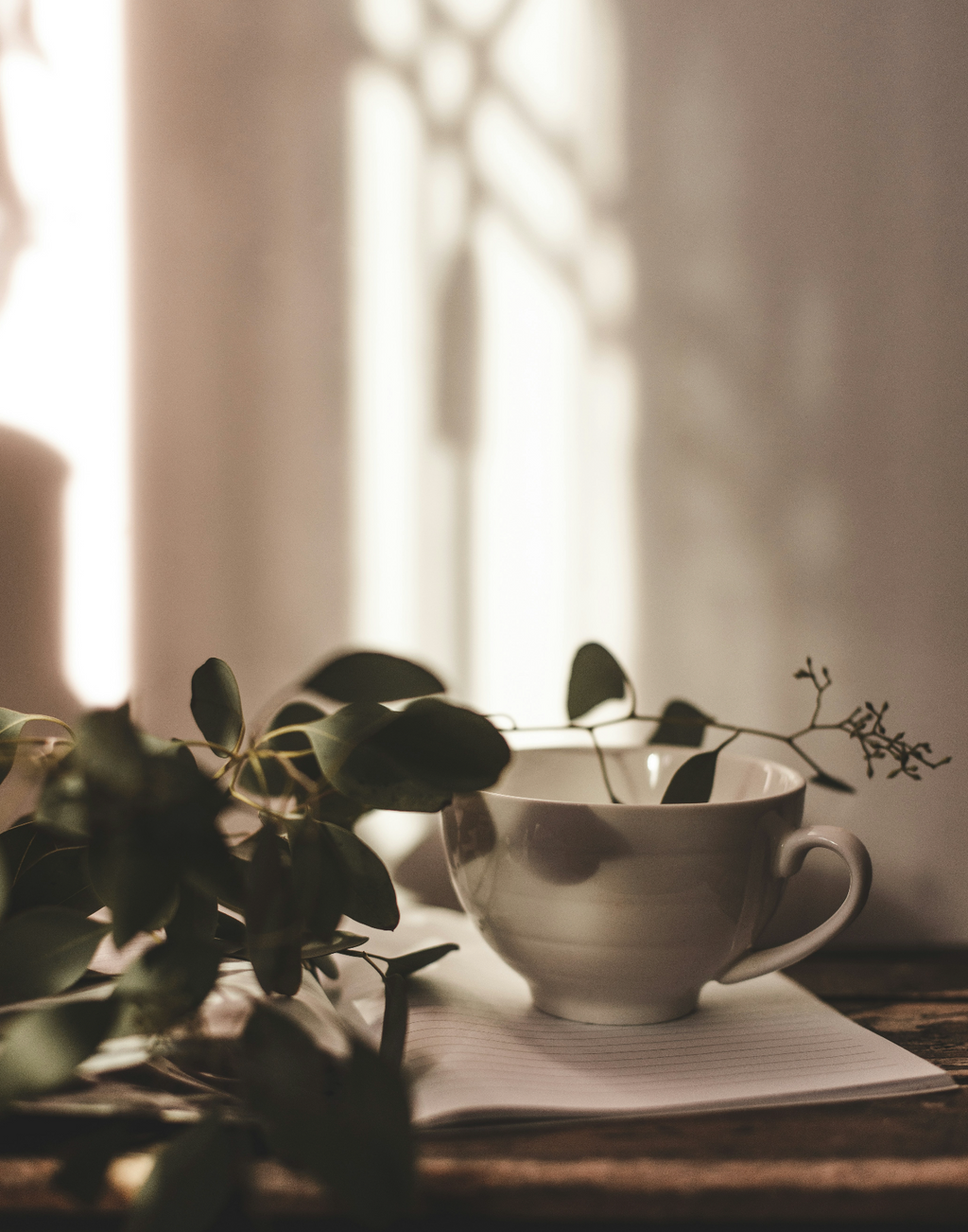 Gentle Eucalyptus Mint 20 oz Liquid Hand Soap