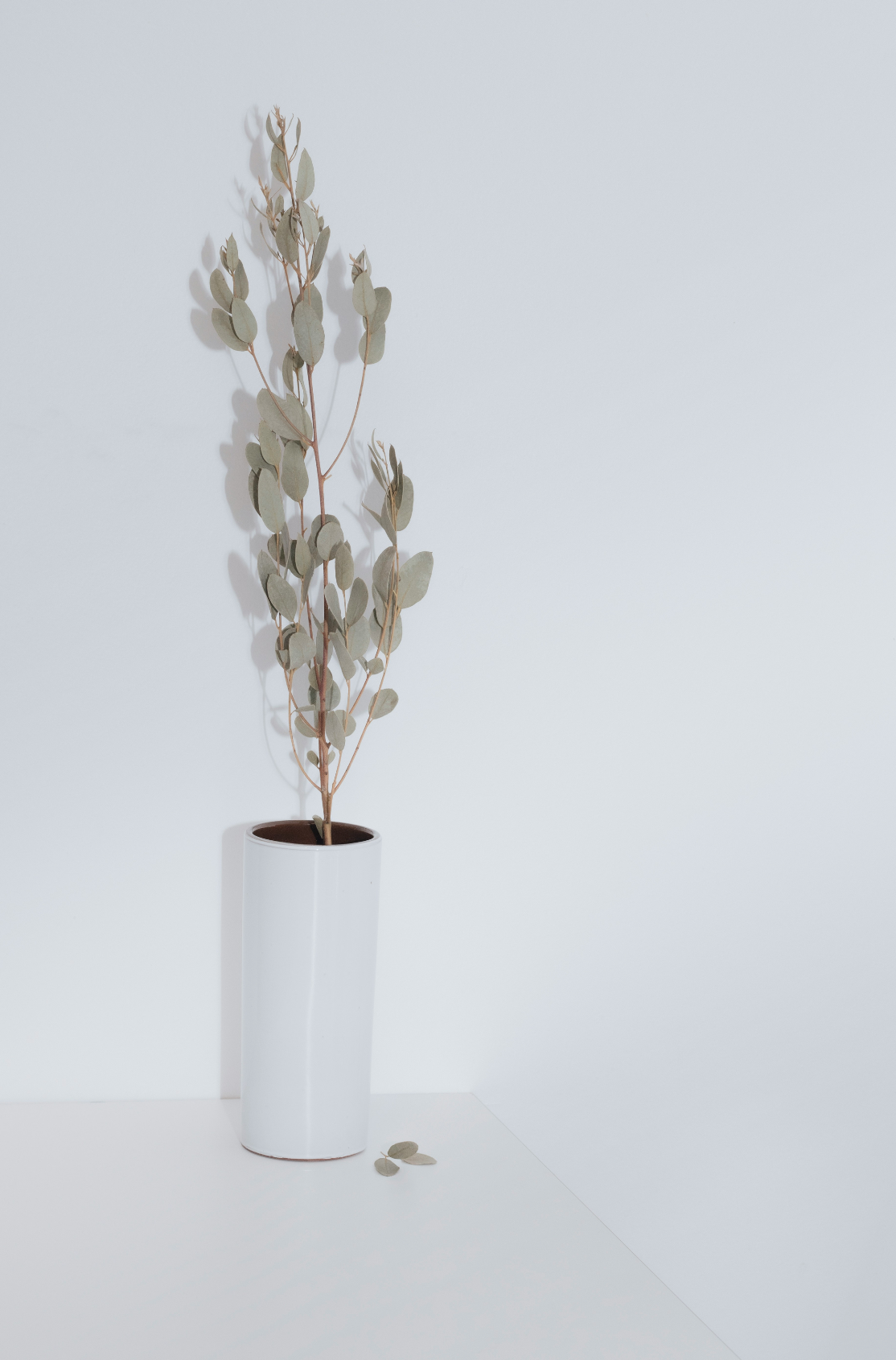 Aromatic Eucalyptus Spearmint 100 ml Reed Diffuser