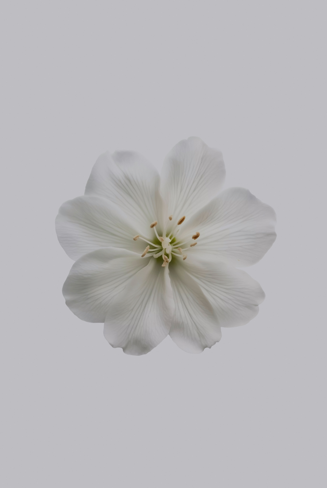 Aromatic Fresh Jasmine 180 ml Reed Diffuser