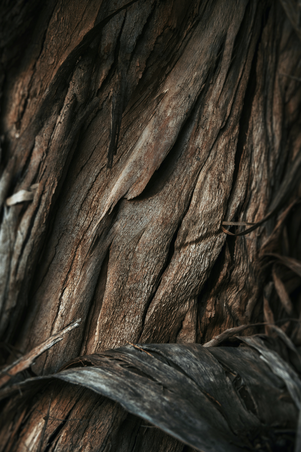 Vanilla Sandalwood 12 oz scented candle