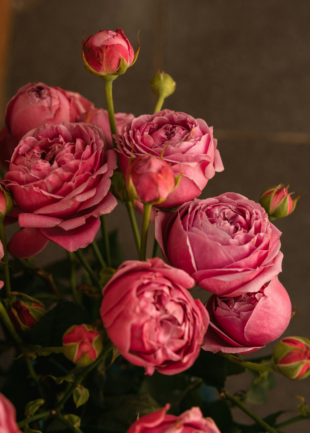 Luxury Rose & Peony 50 ml Perfume Oil Dropper