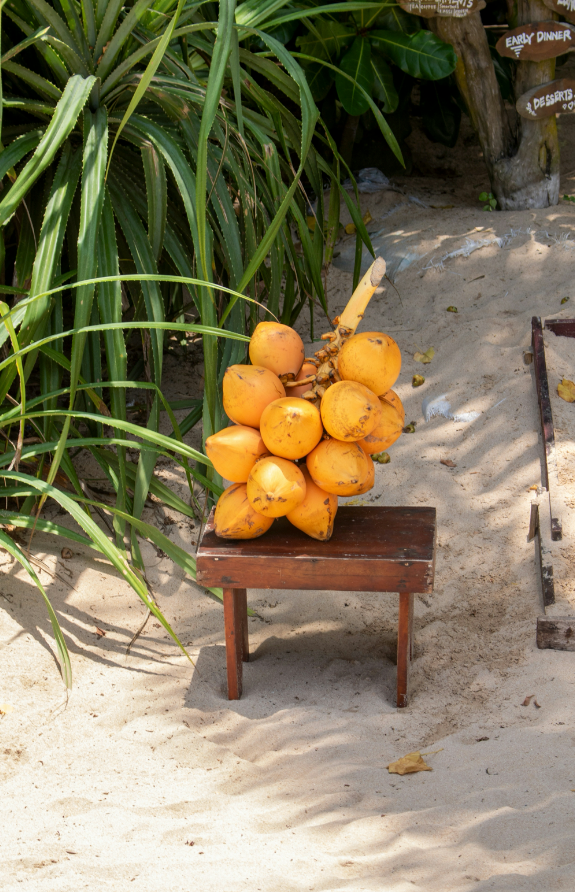 Luxury Coconut Blossom 50 ml Perfume Oil Dropper