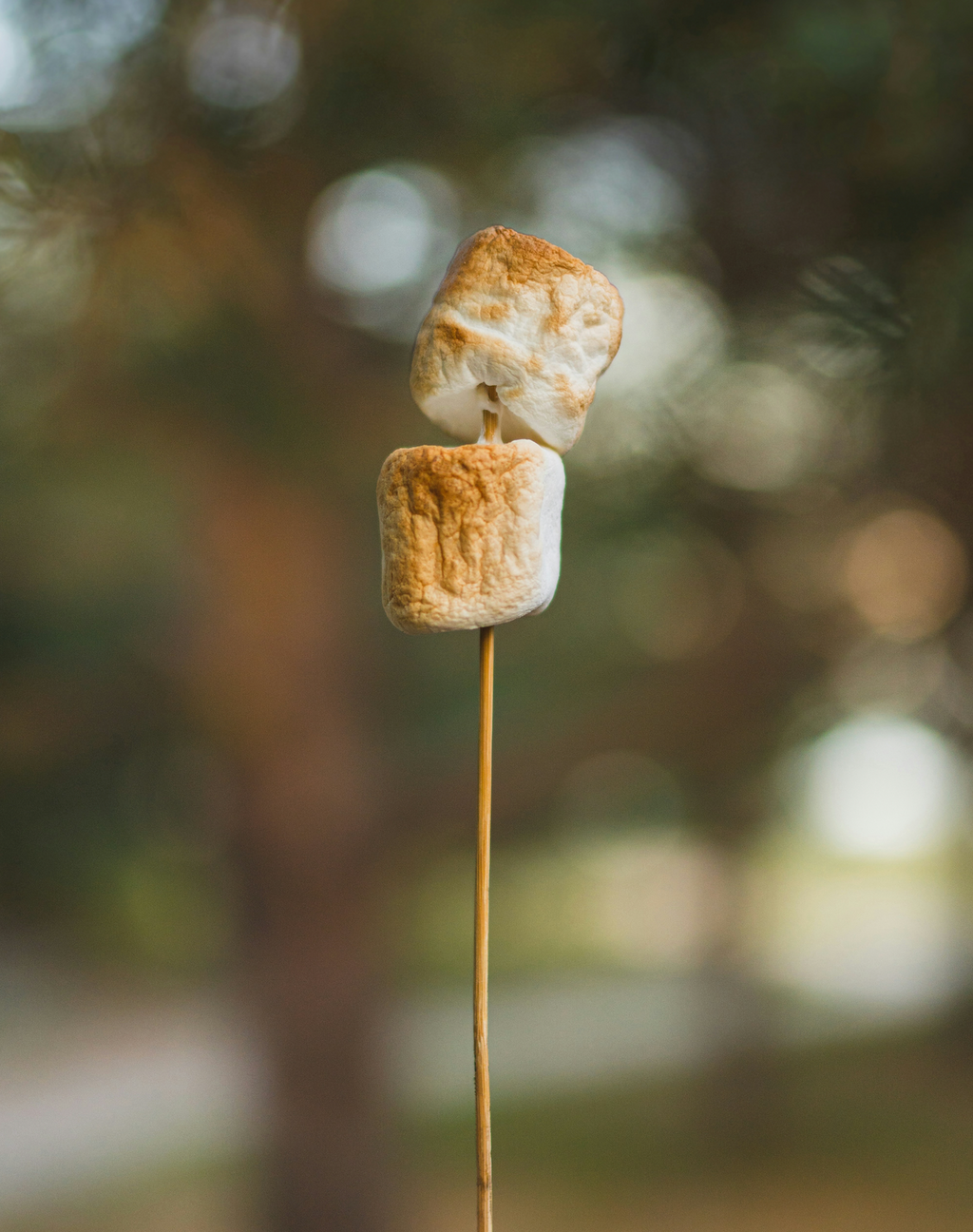 Luxury Toasted Marshmallow 50ml Perfume Oil Dropper