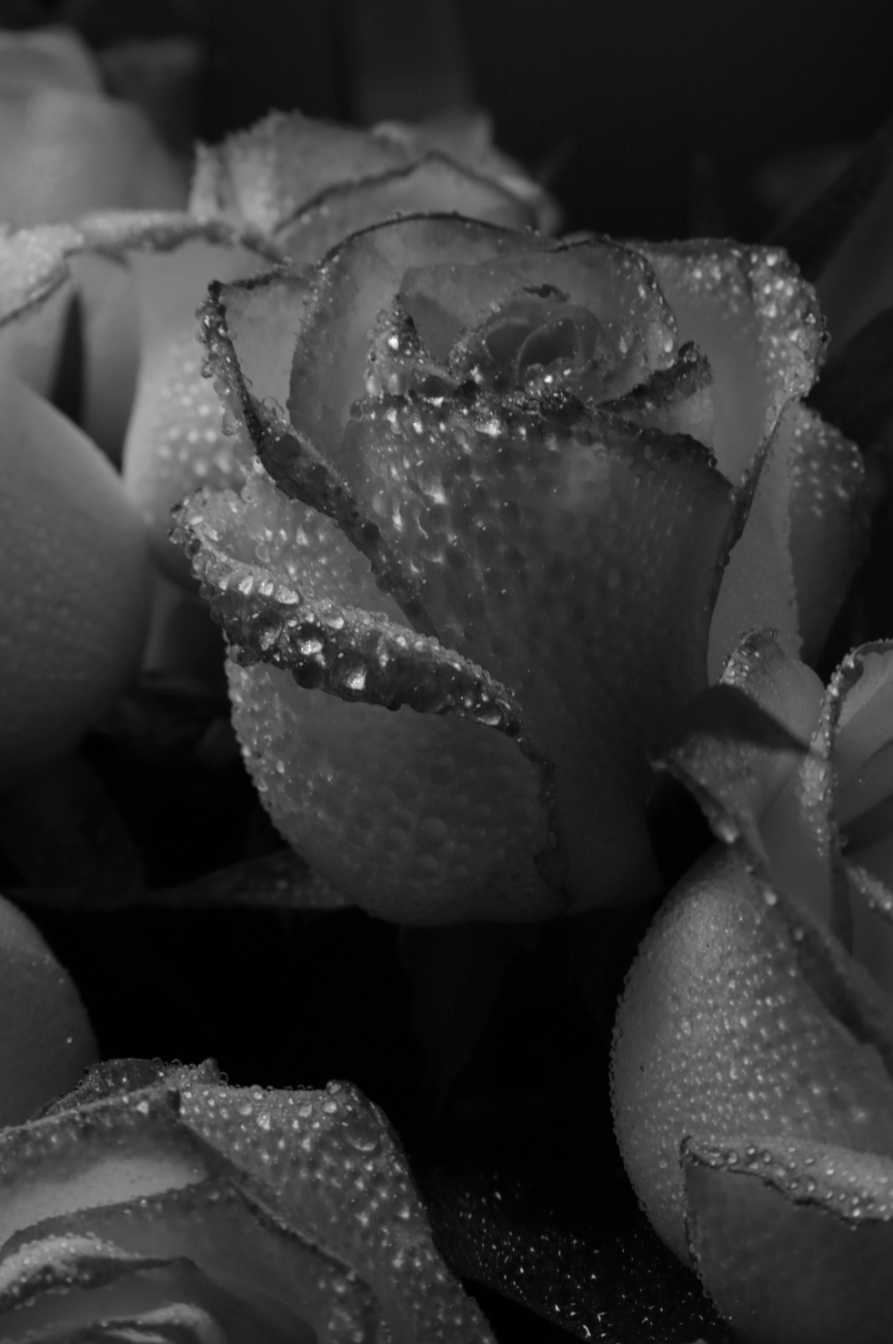 Luxury Rose Dew 50ml Perfume Oil Dropper