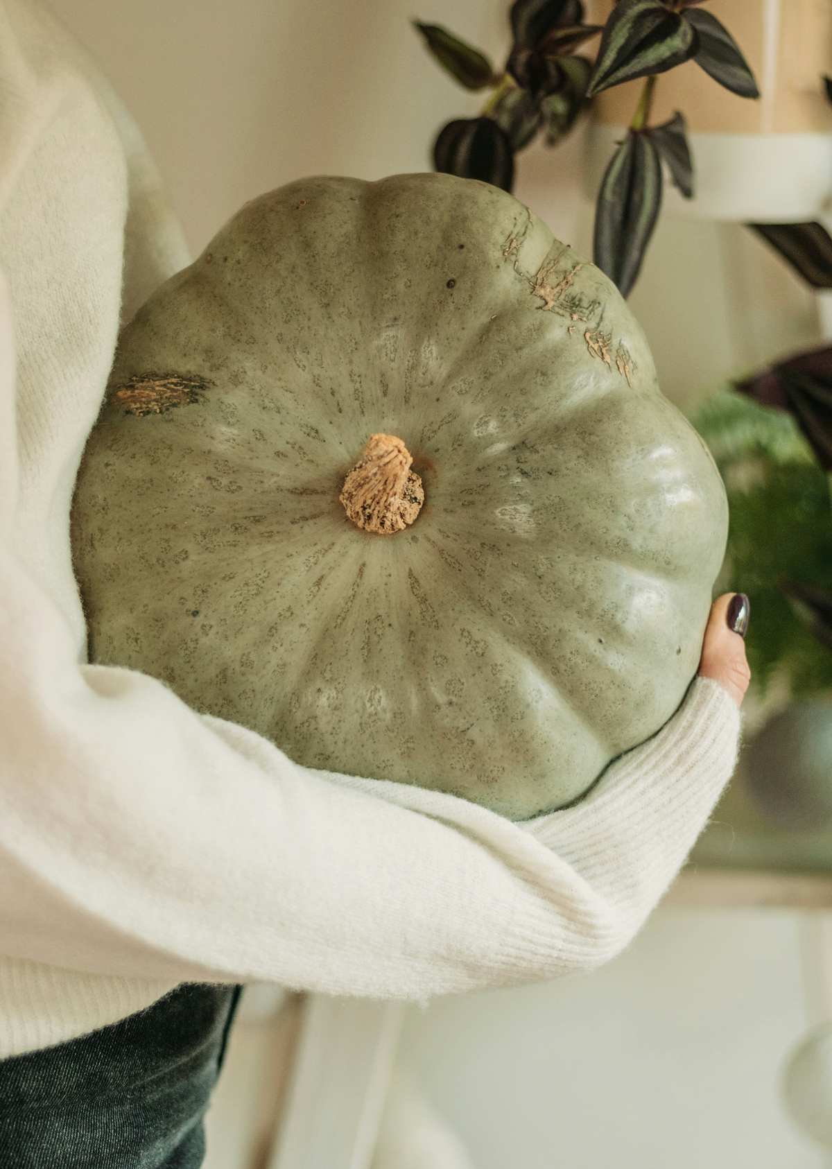 Gentle Sage Pumpkin 8.45 oz Liquid Hand Soap